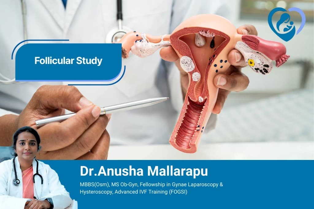 Follicular study consultation with Dr. Anusha Mallarapu, shown with an anatomical model of the uterus and ovaries