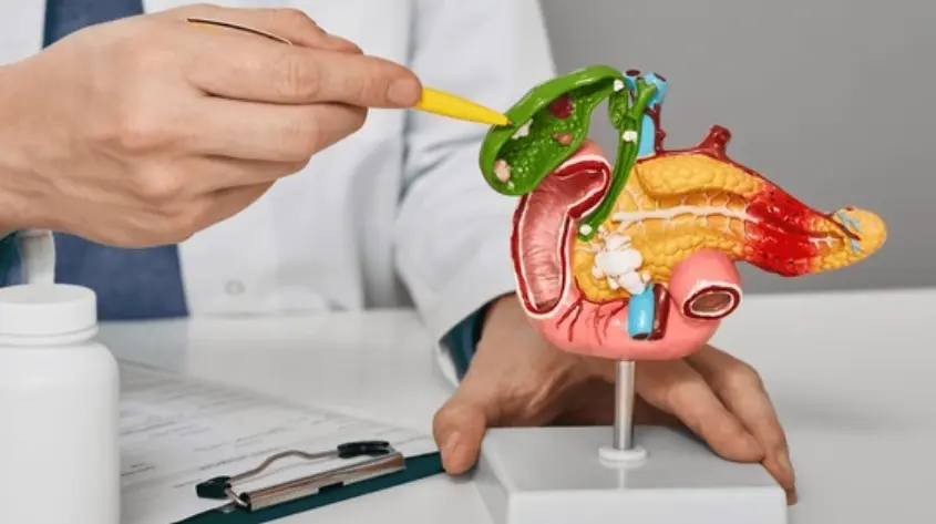 Gallbladder-Biliary Services by Dr.Anupama